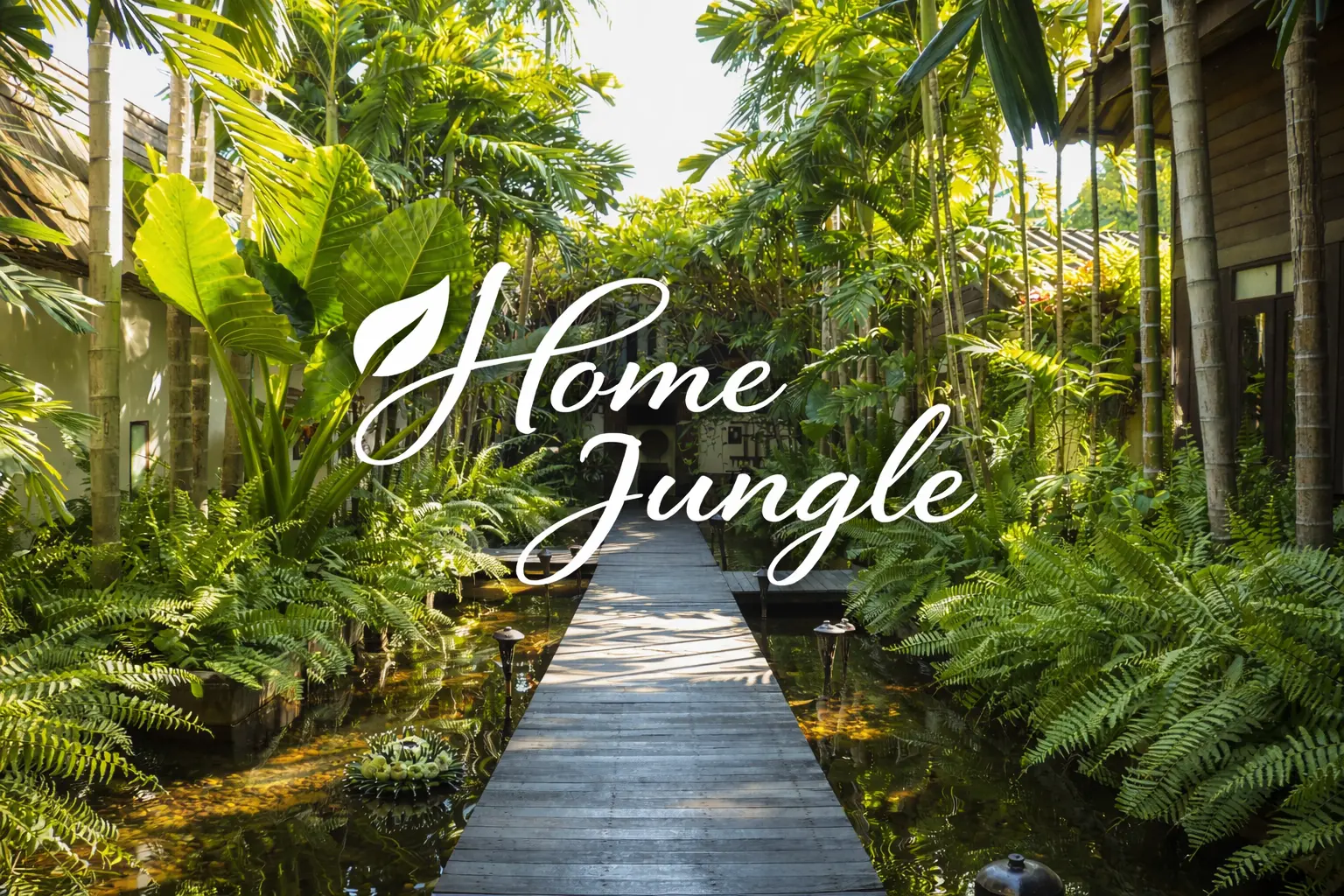 Home Jungle Consultancy to Reduce Indoor Temperature