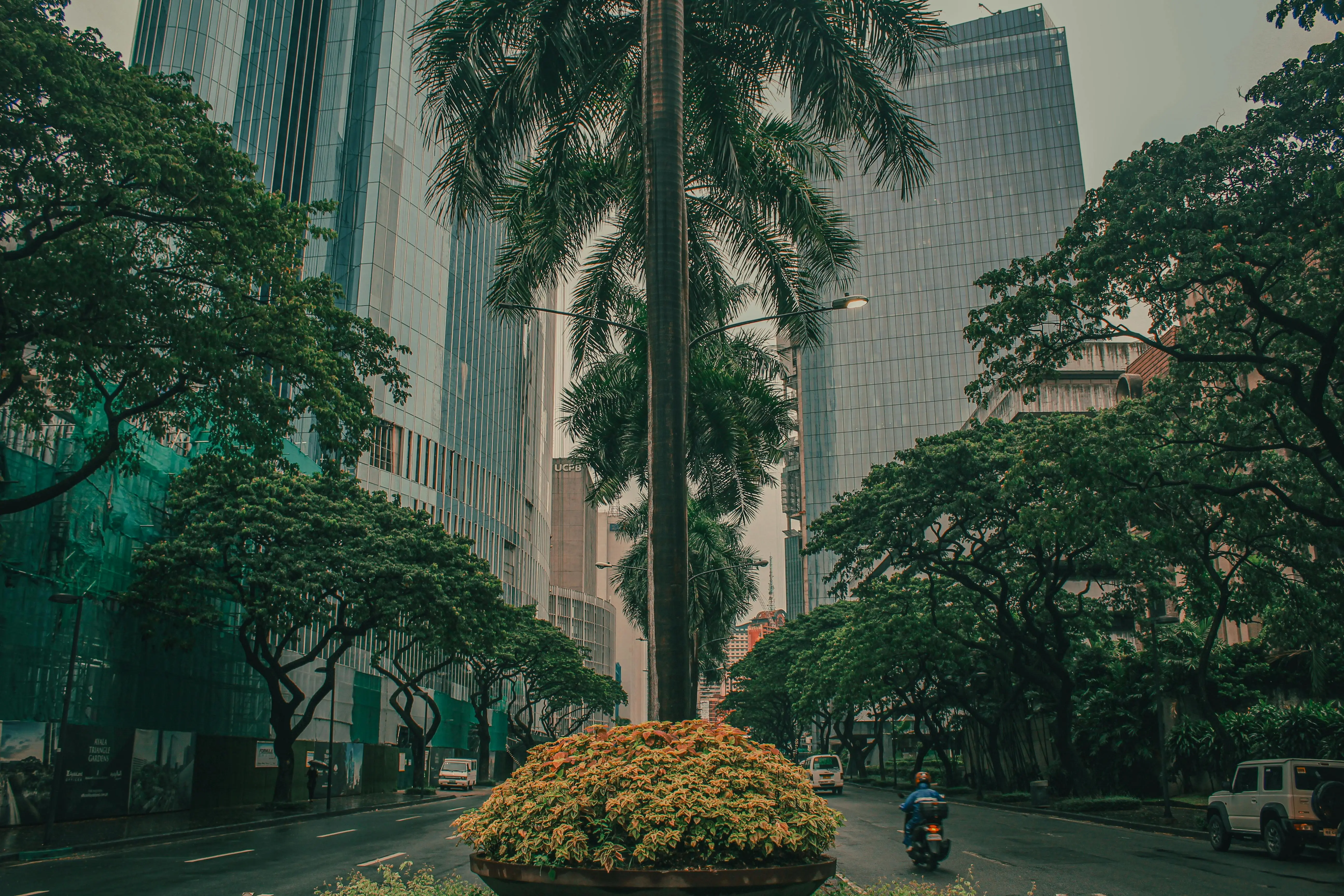 Landscape architecture for natural cooling using native trees in Kolkata